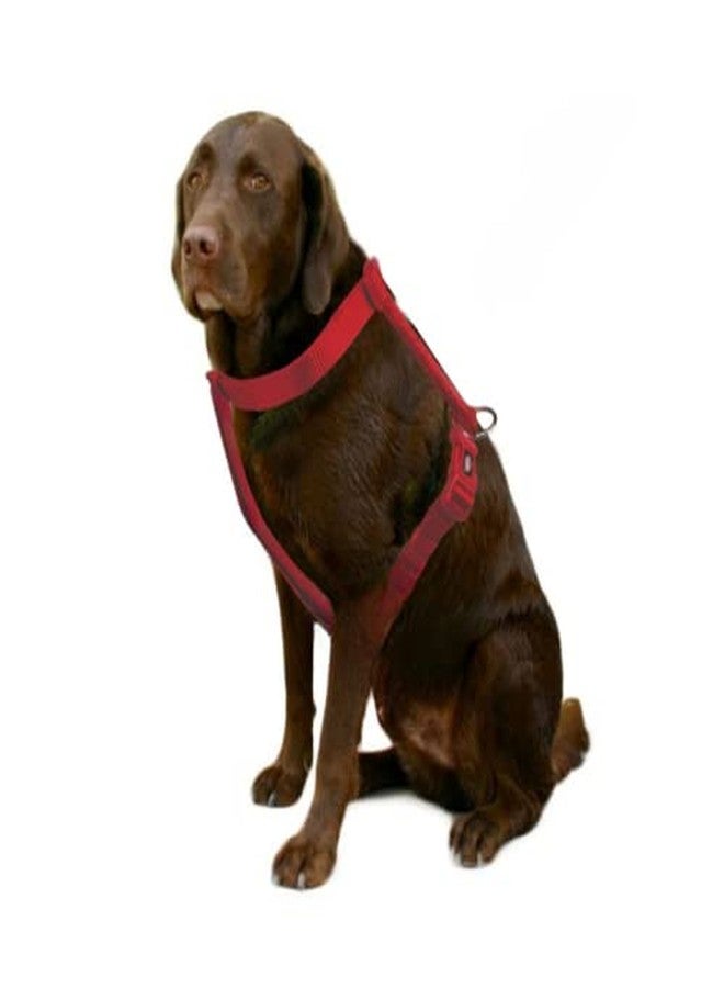 Trixie Premium Touring Harness for Dogs Made with Fleece Padding, Adjustable, and Lightweight Strong D-Ring Keeps The Harness and Leash in Place (S-M, Red) - Image 3